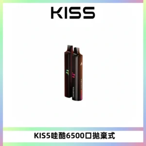 KIS5WAGOO哇酷6500口拋棄式 | 自由混搭雙口味 | 雙芯組合