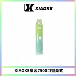 XIAOKE梟客7500Puffs跑馬燈拋棄式電子煙 可發光一次性